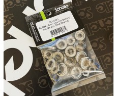 RC8B4.1 and B4.1e Onyx Pro Bearing Set