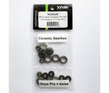 B74.2 Hybrid Ceramic Pro Bearing Set